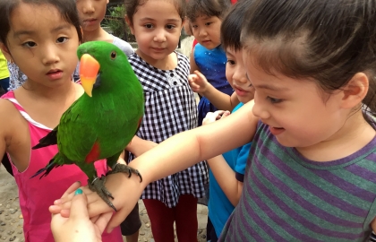 Chuyến đi đến quán Cà phê thú cưng của Trường Song ngữ Quốc tế Horizon